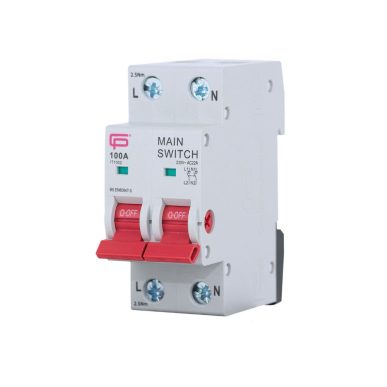 FuseBox IT1002 100A Double Pole Main Switch